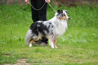 Similar image 21221006