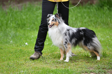 Similar image 21221008