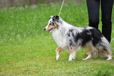 Similar image 21221011