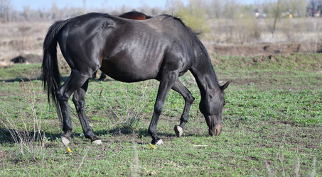 Similar image 21221013