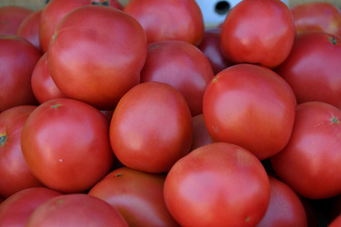 Similar image 21221014