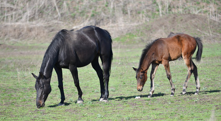 Similar image 21221016