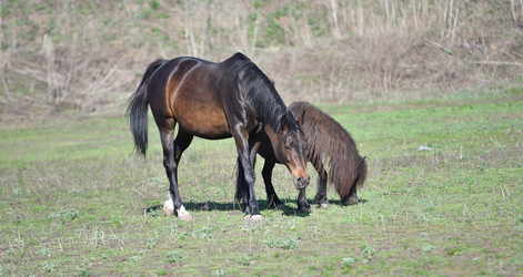 Similar image 21221018