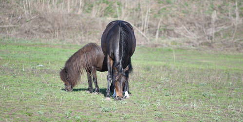 Similar image 21221019