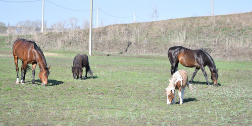 Similar image 21221021