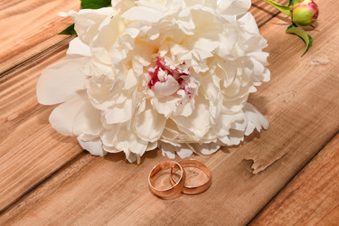 Similar image 21221022