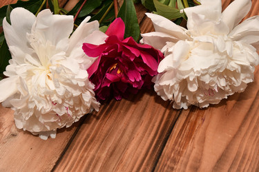 Similar image 21221027