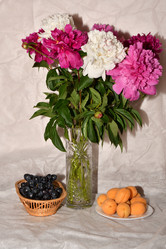 Similar image 21225866