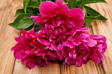 Similar image 21225869