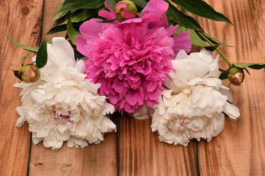 Similar image 21225872