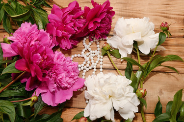 Similar image 21225873