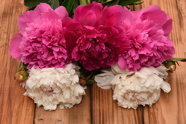 Similar image 21225875