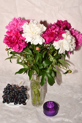 Similar image 21225876