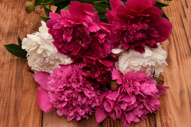 Similar image 21225877