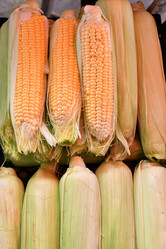 Similar image 21225878