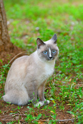 Similar image 21225885