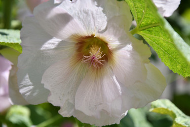 Similar image 21225888