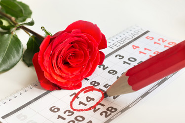 Similar image 21203495