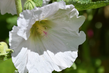 Similar image 21246971