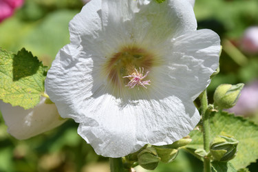 Similar image 21246972