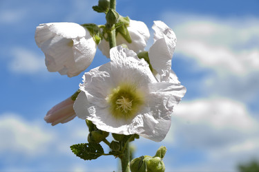 Similar image 21246973