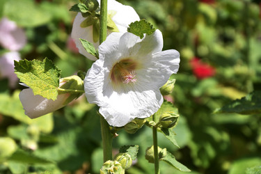 Similar image 21246974