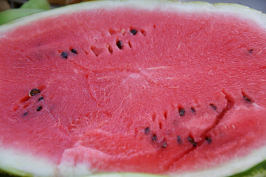 Similar image 21246977