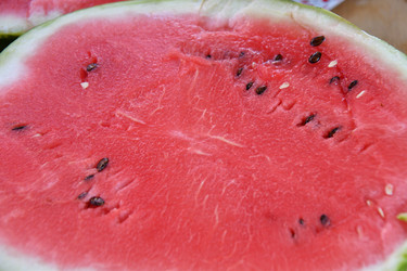 Similar image 21247002