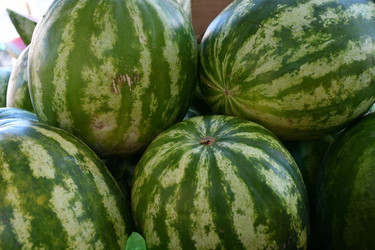 Similar image 21247003