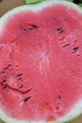 Similar image 21247004