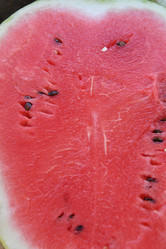 Similar image 21247005