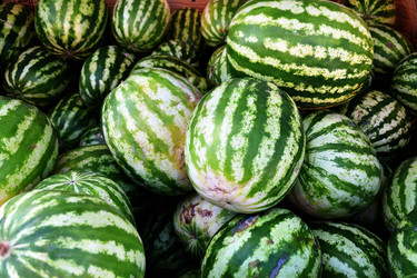 Similar image 21247006