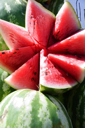 Similar image 21247007