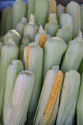 Similar image 21247008