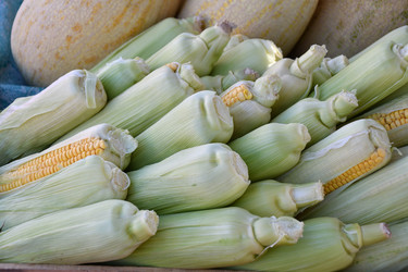 Similar image 21247009