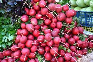 Similar image 21247051