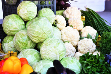 Similar image 21247055