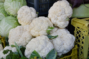 Similar image 21247154