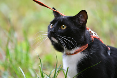 Similar image 21247169