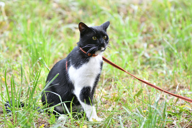 Similar image 21247171