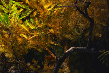 Similar image 21206385