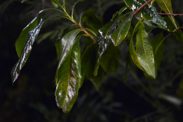 Similar image 21206386