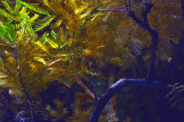 Similar image 21206387