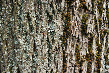 Similar image 21212383