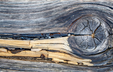 Similar image 21212441