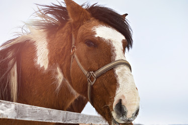 Similar image 21204789