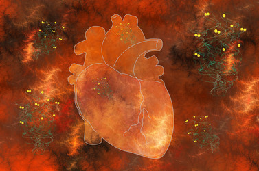 Similar image 21204819