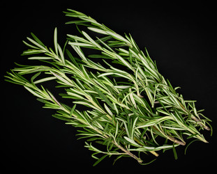 Similar image 21255450