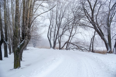 Similar image 21204832