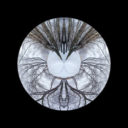 Similar image 21204820